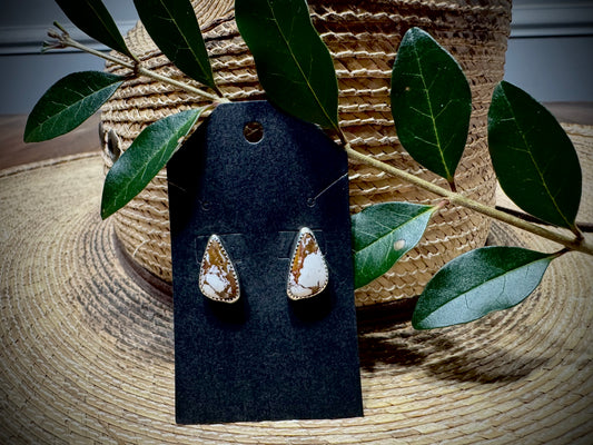 Wild Horse Studs!