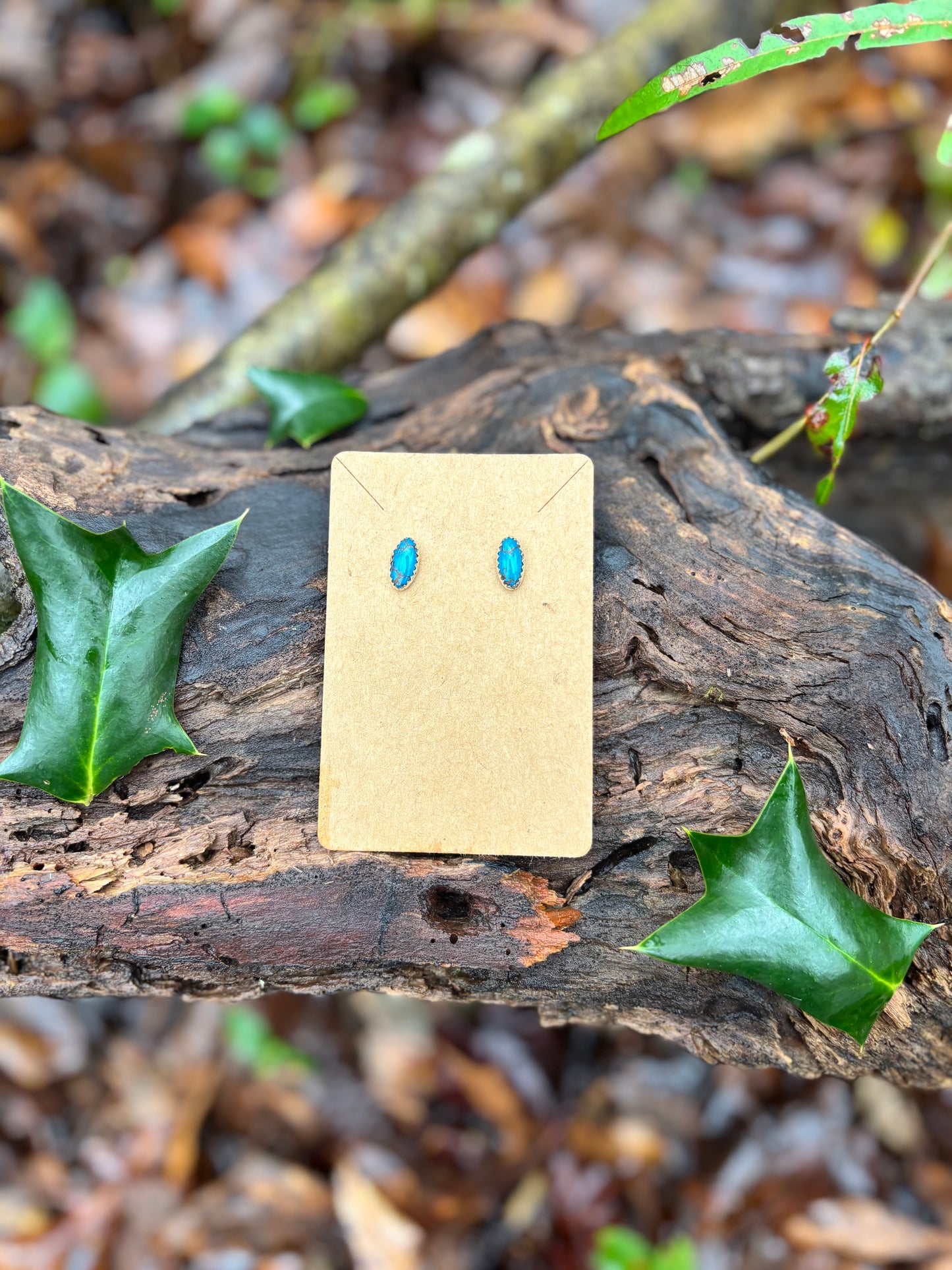 Eqytian Turquoise Studs